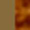 browntortoise