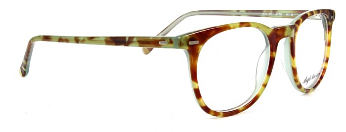 Anglo American Optical 313