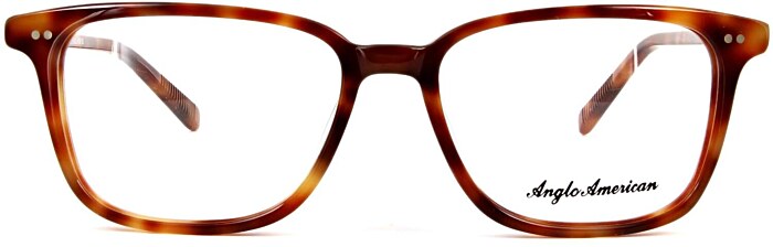 Anglo American Optical Albany