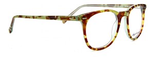 Anglo American Optical 313