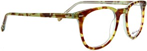 Anglo American Optical 313
