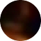 tortoiseshell