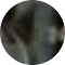 blueshell