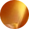tortoise