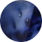 blackblue