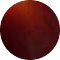 tortoiseshell