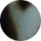 blueshell