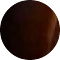 Tortoise (TOY)