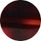 tortoiseshell