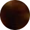 matttortoise