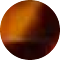 tortoiseshell