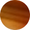 tortoise