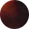 tortoiseshell