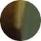 tortoiseshell