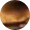 tortoise