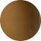 tortoise