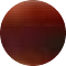 tortoiseshell