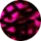 blackpink