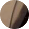 tortoise