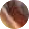 tortoise