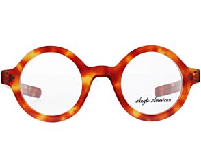 Anglo American Optical 180E SS