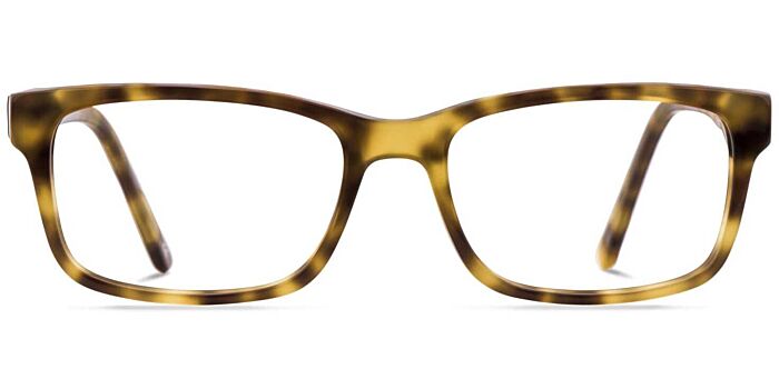 Jack & Francis Leroy Hazel Tortoise